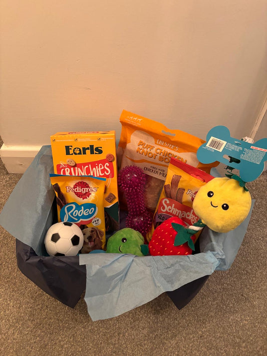 🐾 Medium ChewCrew Box – £29.99/month