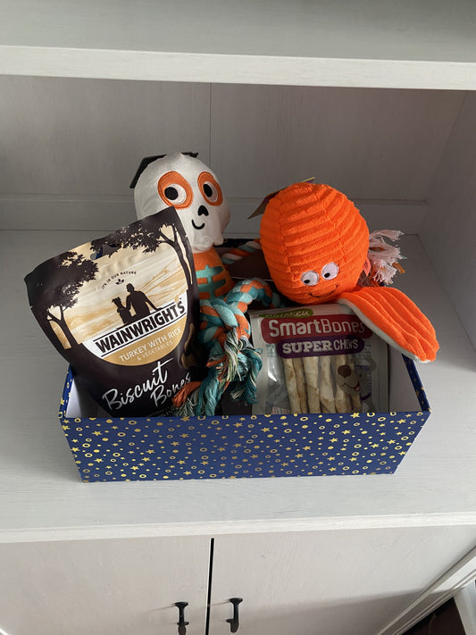 ChewCrew Large Box (one time buy)